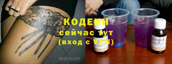 молекула духа Богданович