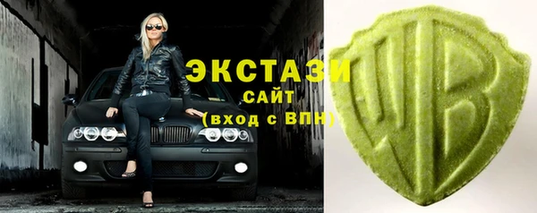 гидра Богородицк