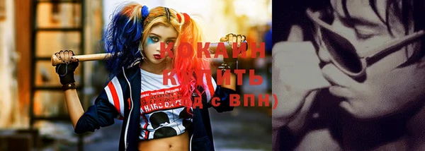 молекула духа Богданович