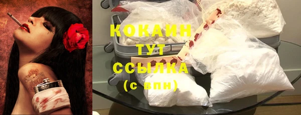 дживик Бронницы