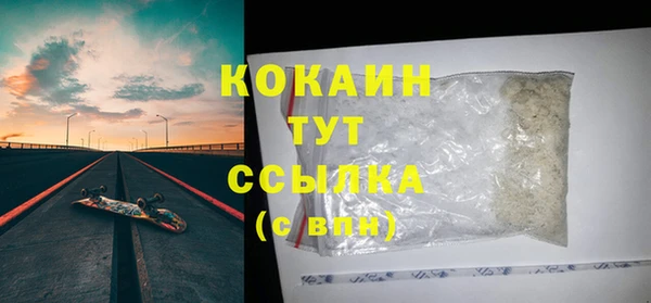 дживик Бронницы