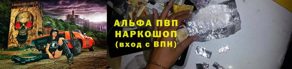 сатива Богородск