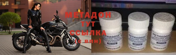 молекула духа Богданович