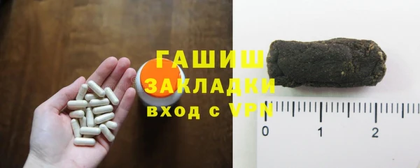 гидра Богородицк