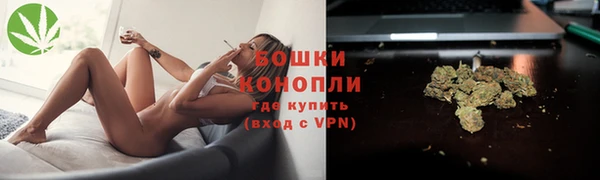 дживик Бронницы