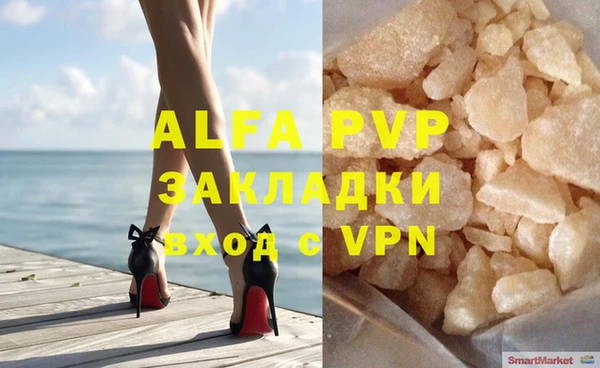 молекула духа Богданович