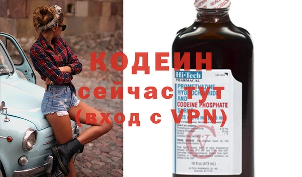 молекула духа Богданович