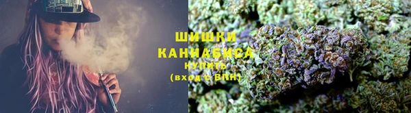 молекула духа Богданович