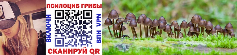 Псилоцибиновые грибы прущие грибы  цены   Гулькевичи 